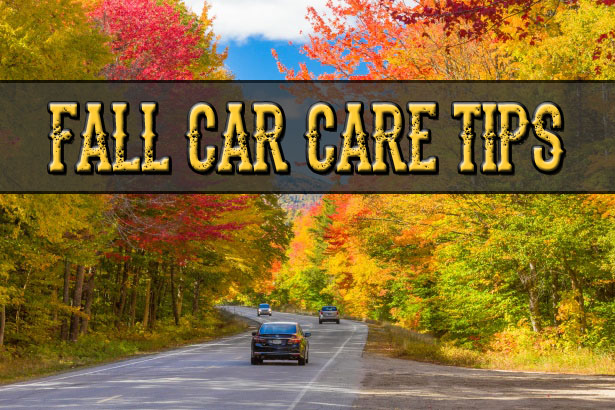 Fall Care Care Tips
